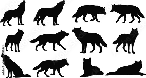 Wolf silhouette collection set, wild animal poses isolated on white background, black canine vector illustration for design