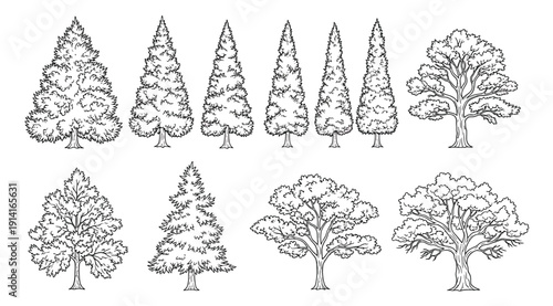 A collection of different tree shapes and types