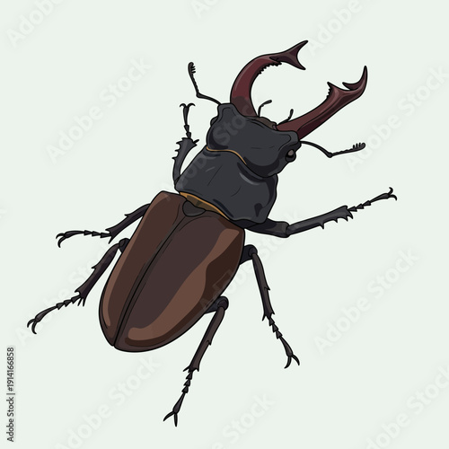 Detailed Illustration of a Male Stag Beetle with Large Mandibles