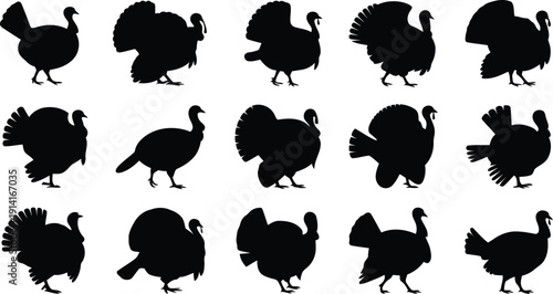 Various poses of black turkey silhouettes create a distinct pattern on a simple white isolated background for versatility