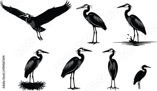 Heron bird silhouettes set, flying standing water wading wildlife vector illustration isolated on white background collection design