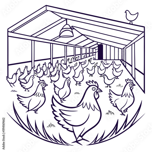 Chickens in a fenced outdoor enclosure with a covered area