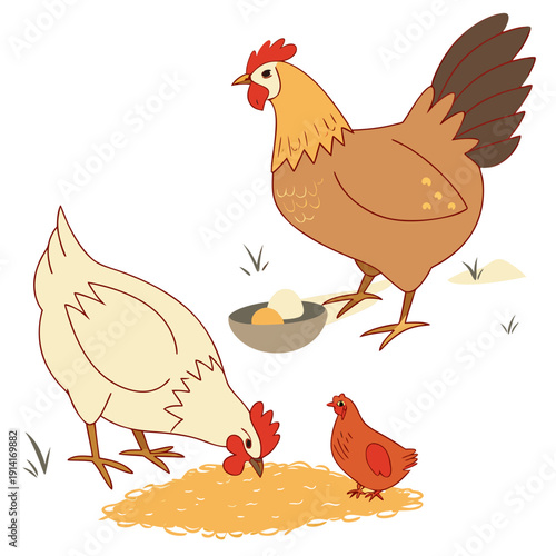 Chickens eating feed with eggs in bowl hens rooster