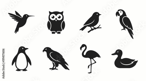 Bird Species Vector Icon Set Featuring Hummingbird, Owl, Magpie, Parrot, Penguin, Raven, Flamingo, and Duck for Wildlife, Education, and Graphic Design Use
