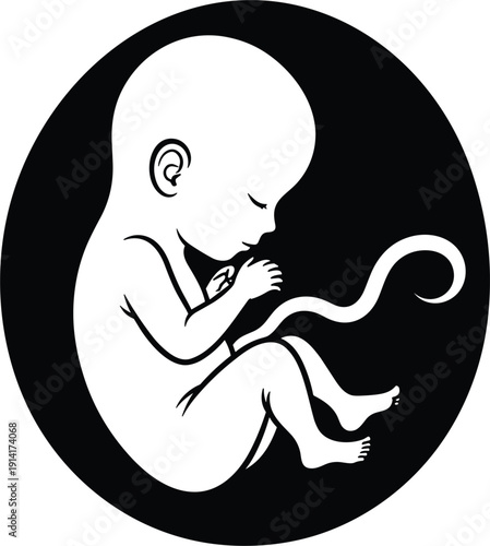 Stylized vector illustration of a human fetus in the womb, black and white silhouette representing pregnancy, prenatal development, and new life.