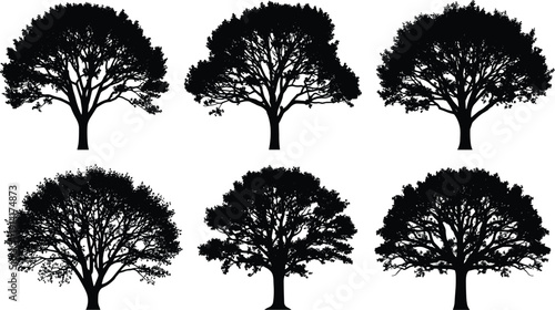 Set of black deciduous tree silhouettes with leafy branches for forest landscape nature conservation and park design vector illustration.