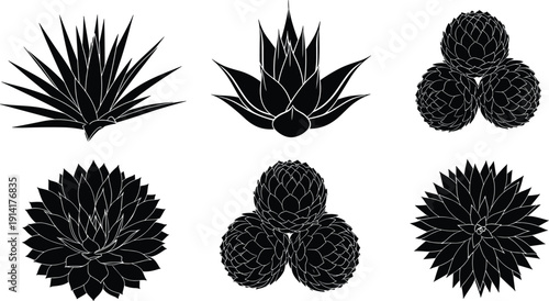 Set of black agave and succulent plant silhouettes including agave tequilana blue agave desert flora 