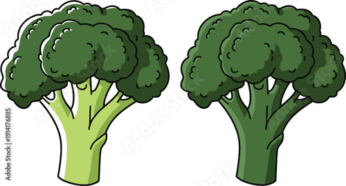 Broccoli vegetable illustration set in light and dark green styles for healthy food nutrition and organic design