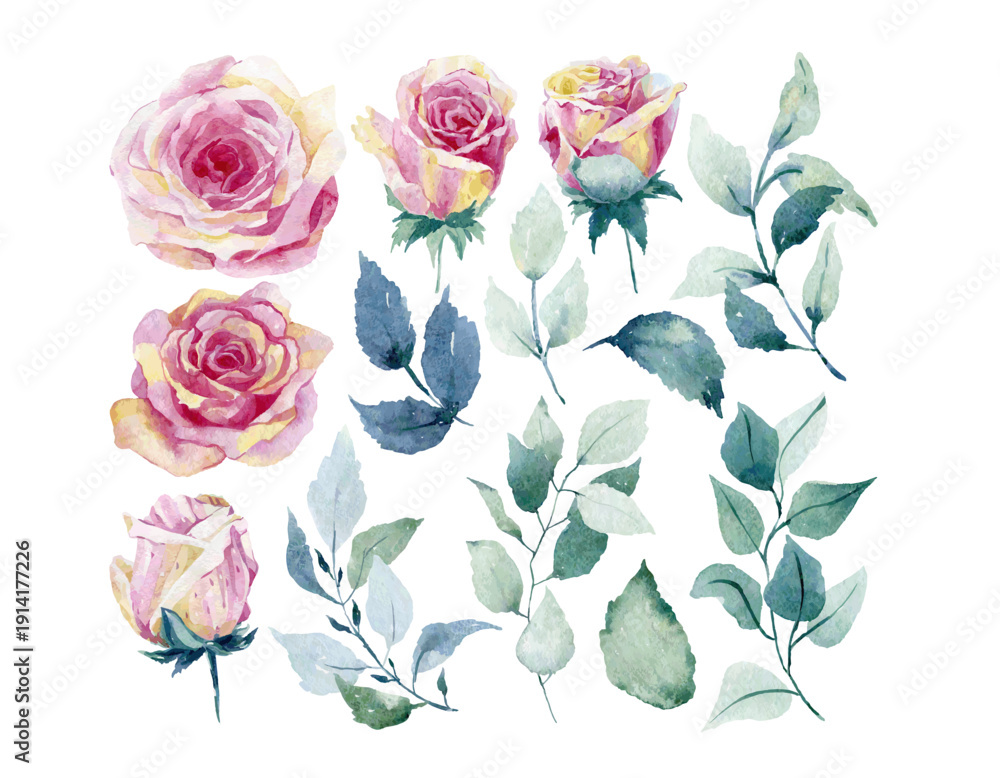 Fototapeta premium Set vector watercolor floral elements of roses, leaves. Botanic illustration isolated on white background.