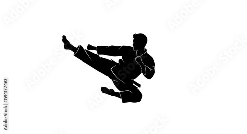 Dynamic Martial Artist Flying Kick Silhouette