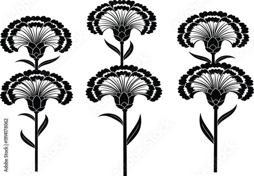 Black and white stylized carnation flower set, symmetrical floral vector illustration isolated on light background, decorative botanical design for print, logo, and pattern use