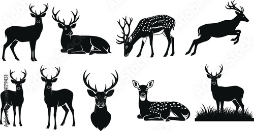 Collection of deer silhouettes including stag buck doe and fawn in various poses isolated on white background wildlife vector illustration set for commercial use