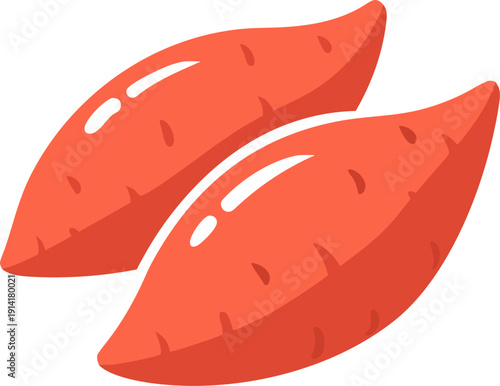 Flat vector illustration of two orange sweet potatoes