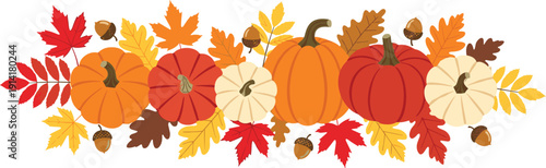Horizontal autumn border with orange red and white pumpkins colorful maple leaves and acorns isolated on white background for Thanksgiving and fall season design.