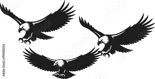 Three Bald Eagle Silhouettes in Flight Vector Illustration, Black and White American Symbol Isolated on White Background Wildlife Bird of Prey Graphic Design Set