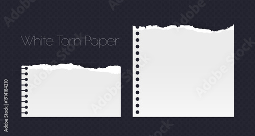 Realistic Torn White Paper Texture with Ripped Edges on Transparent Background