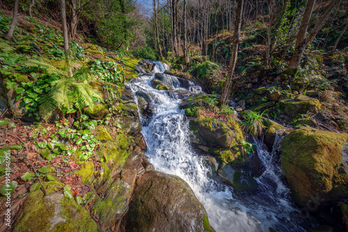 Tableau sur toile Spring Waterfall In Mtirala Park