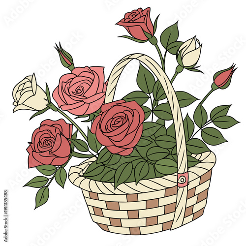 Of red and white roses in a woven basket flowers red roses