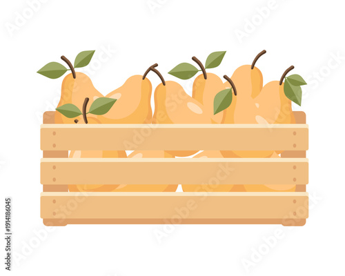 Wooden box with ripe yellow pears. Food illustration.