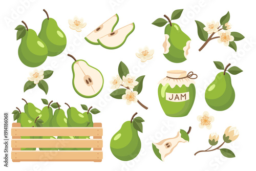 Collection of green pears. Whole, sliced and flowers. Food themed illustrations.