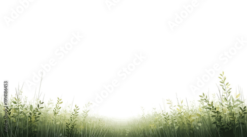 A serene landscape of green grass and plants with a bright white background