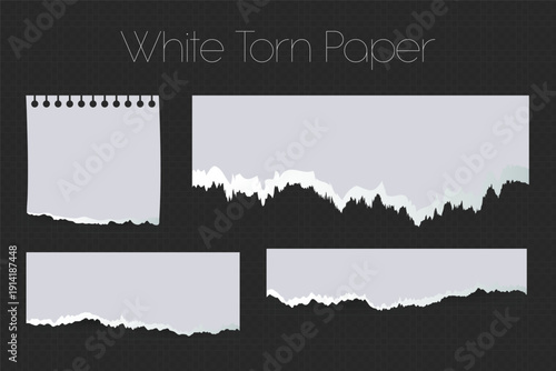 Realistic Torn White Paper Texture with Ripped Edges on Transparent Background