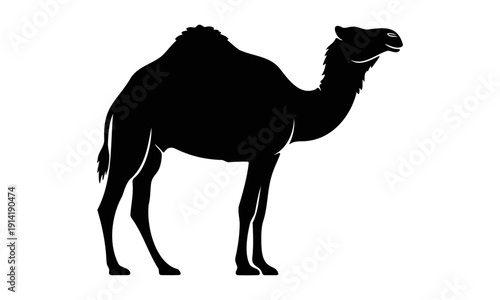 Dromedary Camel Silhouette Side View – Single Hump Desert Vector
