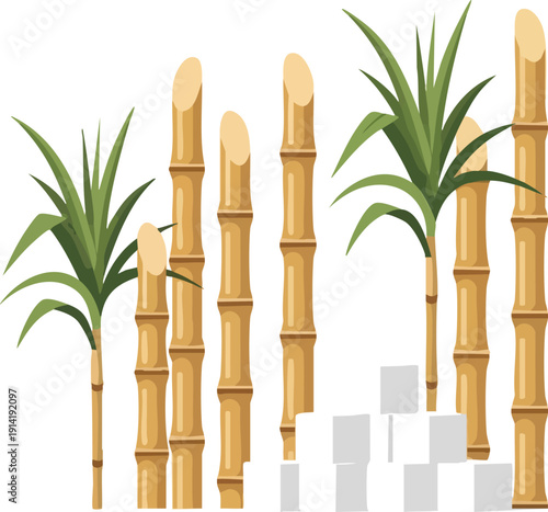 Sugarcane stalks with green leaves and sugar cubes, illustrative representation of agriculture and sweetener production