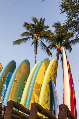 The Big Island, Hawaii, USA - 21 May 2022: Surf boards and palm trees on the Big Island, Hawaii, USA