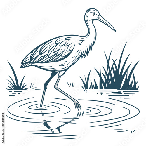 Heron standing in shallow water with ripples and aquatic plants