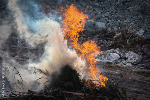 Wallpaper Mural Fire is burning through the wood, creating a fire for firefighting operations Torontodigital.ca