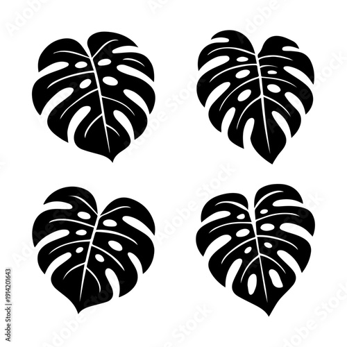 Set von schwarzen Monstera-Blättern 