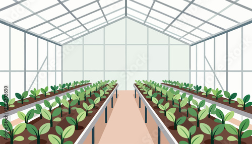 Rows of healthy green plants grow inside a sunlit, glass structure
