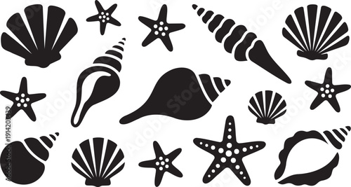 A delightful collection of diverse marine seashells and starfishes arranged neatly on a clean white surface