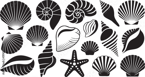 An assorted array of intricately detailed black silhouette seashells and a starfish resting on a pure white plane