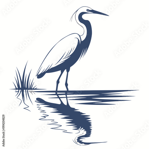 Blue heron standing in water with reflection bird