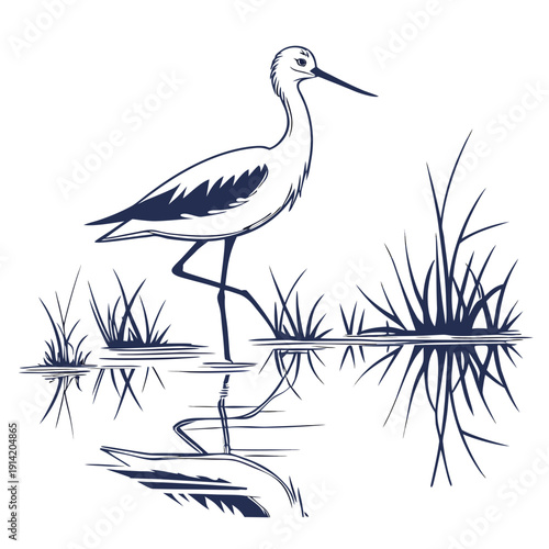 Black and white of a stork standing in shallow water 1