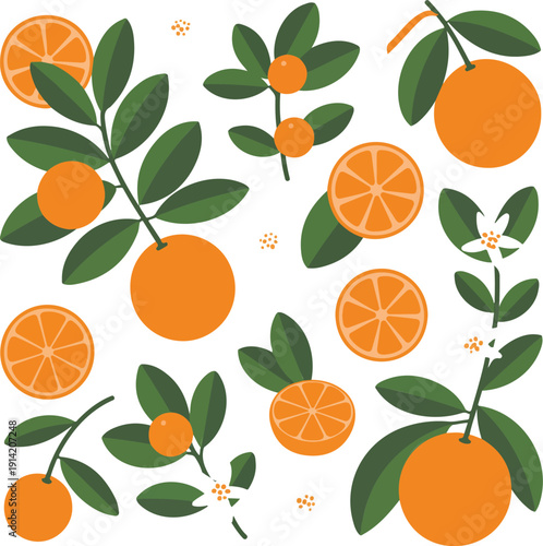Fresh Citrus Fruit Flat Vector Illustrations: Oranges, Tangerines, and Leaves