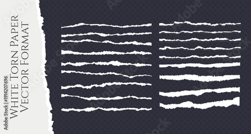 Realistic Torn White Paper Texture with Ripped Edges on Transparent Background