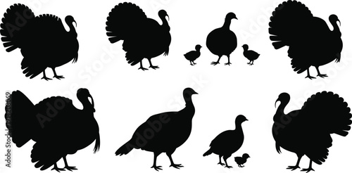 Black turkey silhouette vector illustration set for Thanksgiving day dinner autumn season harvest and farm animal design projects