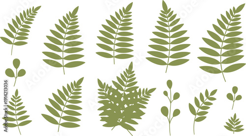 Large collection of green fern leaf silhouettes featuring various minimalist fronds and botanical stems in a flat vector style perfect for eco friendly logos nature patterns and modern home decor