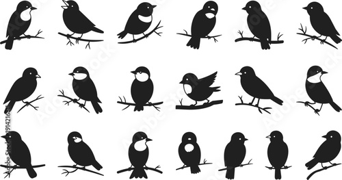 Black silhouette birds on branches silhouettes white background