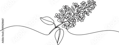 One continuous line drawing beauty fresh syringa vulgaris for garden logo. Printable decorative lilac flower concept for home decor wall art poster print. one line Icon drawing