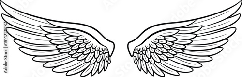 Angel wings illustration in outline style featuring detailed feathered wings spread design, symmetrical tattoo concept, heavenly symbol and decorative fantasy vector artwork.