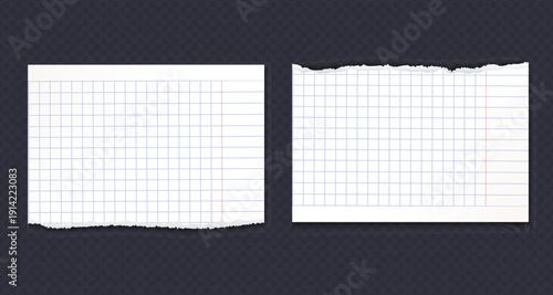 Realistic Torn White Paper Texture with Ripped Edges on Transparent Background