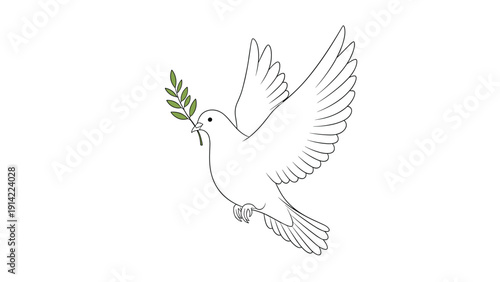 Elegant white dove in flight carrying a green olive branch in its beak as a universal symbol of peace, hope, and freedom.