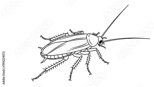 Detailed black and white line art illustration of a cockroach insect showing its anatomy, legs, and long antennae for educational study.