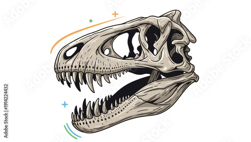 Detailed illustration of a Tyrannosaurus Rex skull with sharp teeth and fossilized features surrounded by simple decorative design elements.