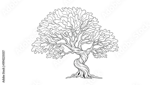 Intricate black and white line art of a twisted old tree with a thick trunk and many leafy branches against a clean white background.