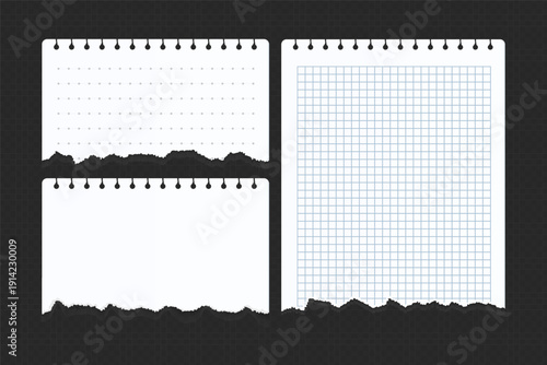 Realistic Torn White Paper Texture with Ripped Edges on Transparent Background